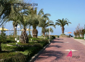  	отели черного моря 	 