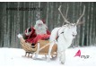 Рождественские каникулы в Финляндии!